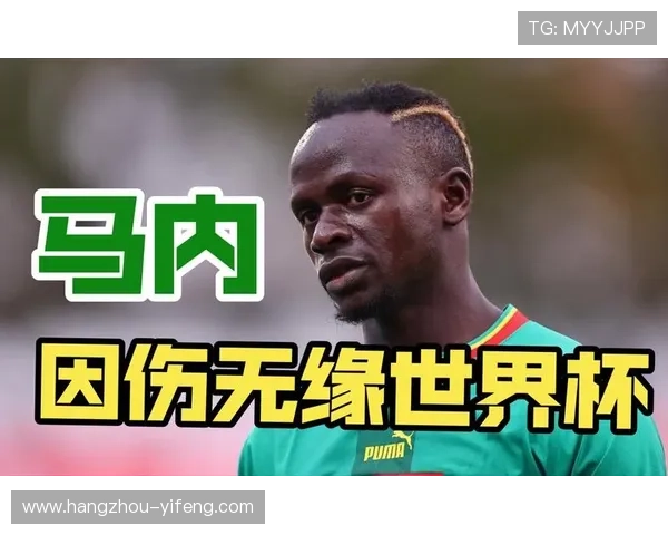 世界杯聚焦塞内加尔 老将稳中场新星展望未来